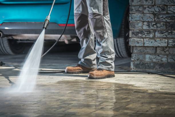 Pre-Holiday Cleaning in Hillandale, MD