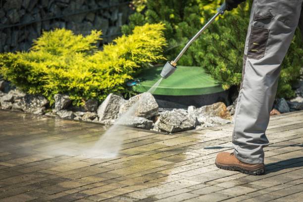 Best Parking Lot and Garage Cleaning  in Hillandale, MD
