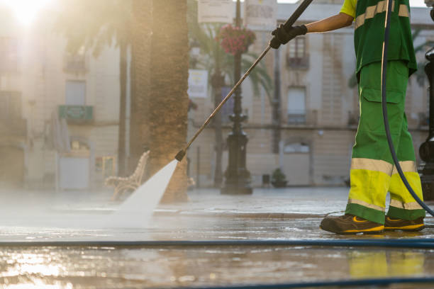 Best Sidewalk and Walkway Cleaning  in Hillandale, MD